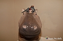 VBS_7879 - Mostra della Ceramica di Castellamonte 2021